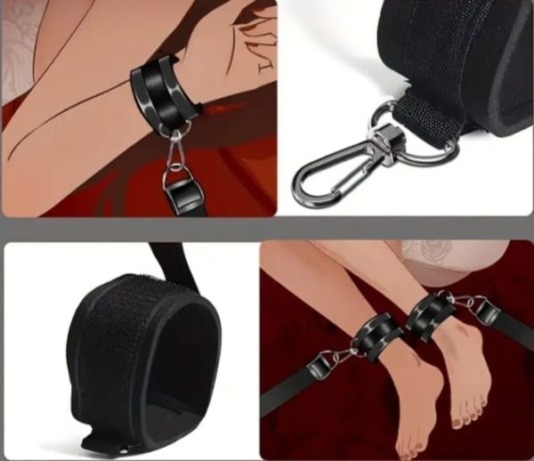 ab5f7b02-1cd1-4f1b-8bbb-039818b88276